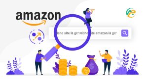 Niche site Amazon là gì. Cách khởi tạo Niche site Amazon